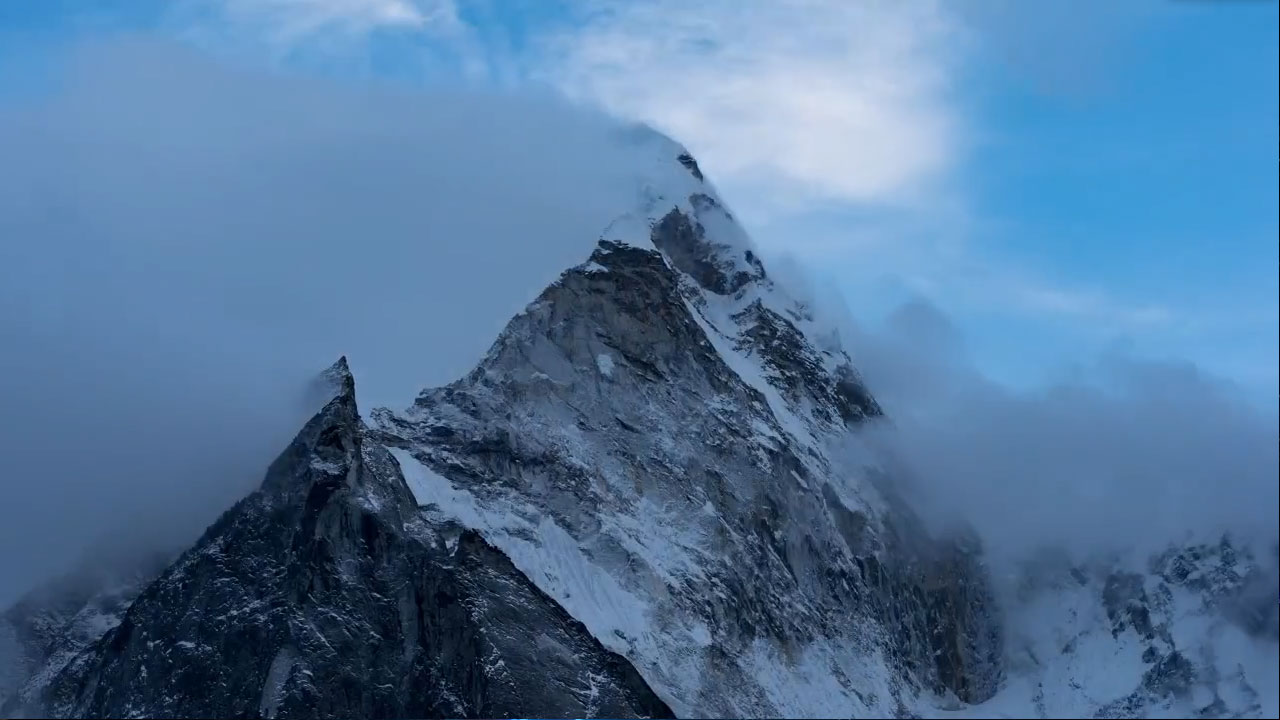 实力派技术服务合作伙伴