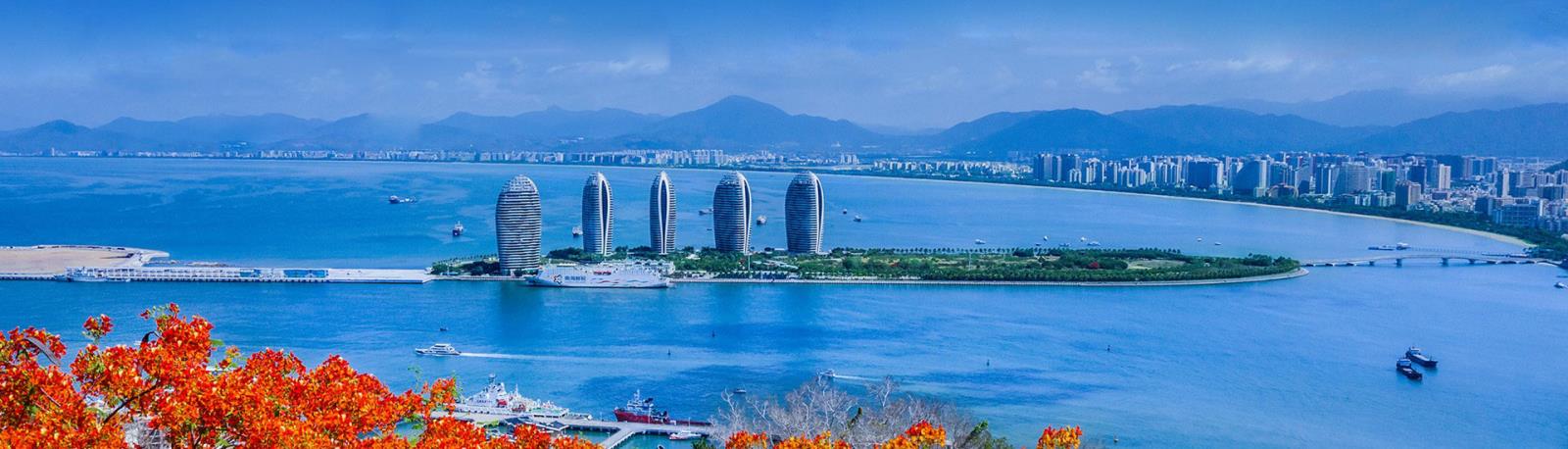 政务协会官网 政务协会官网